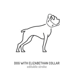 An Elizabethan collar, E collar icon. Pet ruff, dog cone sign. - 758255630