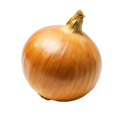 A fresh white onion isolated on Transparent background.