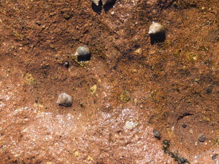 La Jaca (Arico, Tenerife, Canary Islands, Spain)
