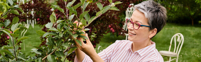 beautiful jolly mature woman in casual attire with glasses collecting fresh delicious apples, banner