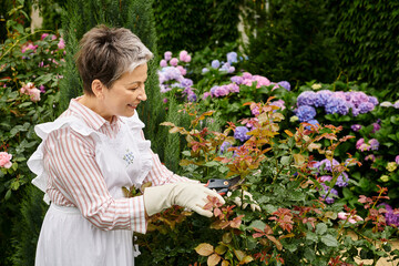 mature joyous beautiful woman with short hair using gardening tools to take care of lively rosehip