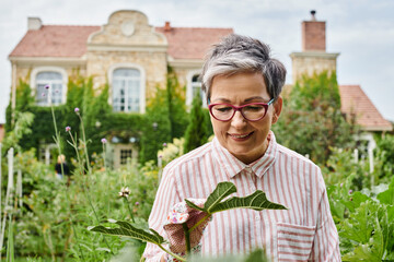 attractive happy mature woman with glasses working in her vivid green garden and smiling joyfully