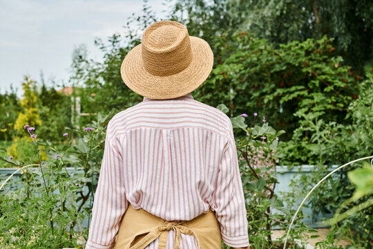 back view of mature woman in straw beautiful hat posing in her lively garden while working there