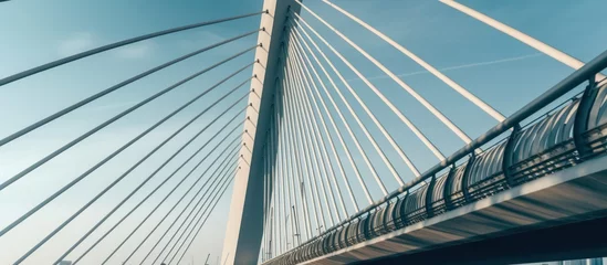 Photo sur Plexiglas Rotterdam portrait of the cable structure of the Erasmus Bridge in Rotterdam