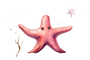 pink that sea floor watercolor depiction a starfish lives invertebrate marine