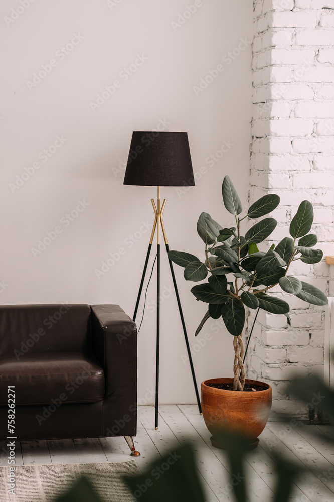 Poster The image features a lamp and a plant in a pot placed on a table. It is a still life photograph capturing elements of
