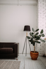 The image features a lamp and a plant in a room, with elements like a wall, houseplant, flowerpot,...