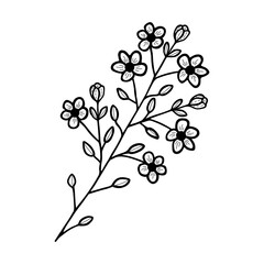 Hand drawn flower and branches doodle. Vector illustration
