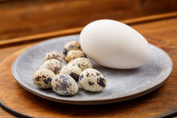 goose and quail eggs on a gray plate on a wooden stand comparison