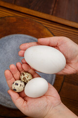 Chicken goose and quail eggs in female hands