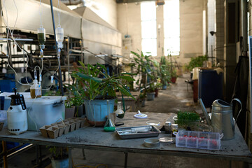 No people interior shot of handmade water filter, plants in pots and tools on table in post-apocalyptic shelter in abandoned factory building