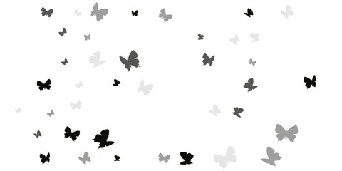 Tropical black butterflies abstract vector illustration. Summer ornate moths. Wild butterflies abstract baby wallpaper. Sensitive wings insects graphic design. Nature beings.