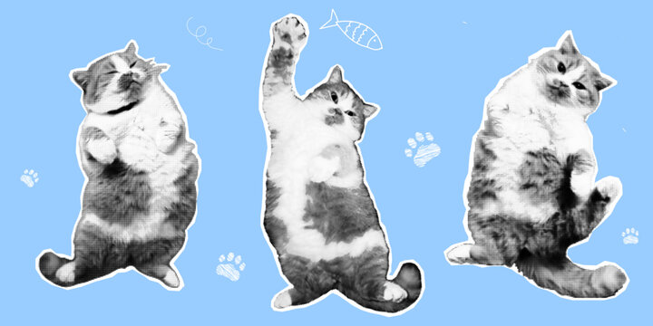 Halftone collage cat on white background. Funny kitty character in trendy dotted pop art style. with naive doodle elements. Vector graphics