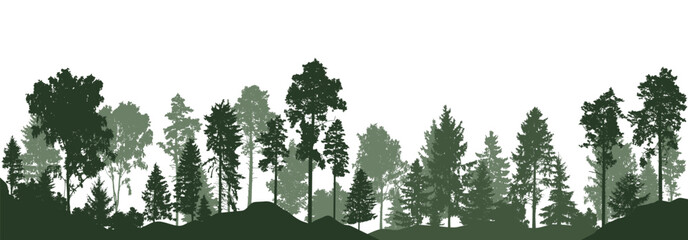 Beautiful landscape, silhouette of forest. Tall pine  and spruce tres. Horizontal woodland. Vector illustration © nosyrevy