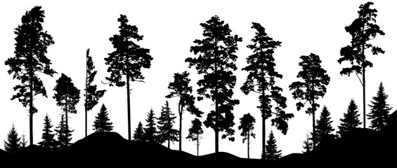 Beautiful landscape, silhouette of forest. Tall pine  and spruce tres. Horizontal woodland. Vector illustration - obrazy, fototapety, plakaty