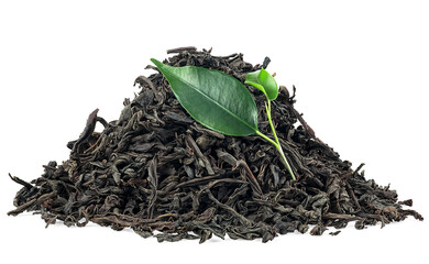 Pile of dry black tea leaves with fresh tea leaves isolated on a white background. Concept of healthy eating. - 758269622