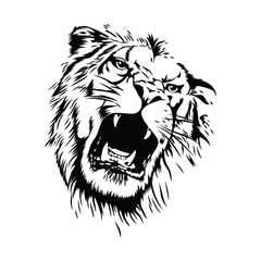 lion head vector, logo and icon