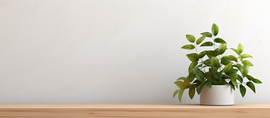A houseplant in a flowerpot sits on a wooden table in front of a white wall, adding a touch of nature to the room with its green leaves and delicate flowers