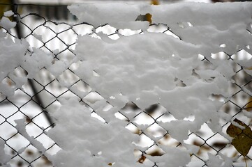 wire fence in the snow