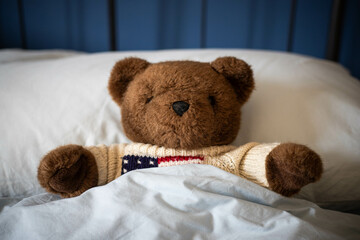 Brown teddy bear, plush toy, laying under covers in parents' bed with blue blankets and soft day light. Central view.