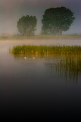 Morning over hazy water, moody light - 758278471