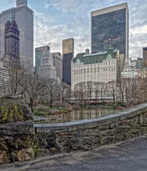 Foto auf Acrylglas Gapstow-Brücke Gapstow Bridge in Central Park,after rain
