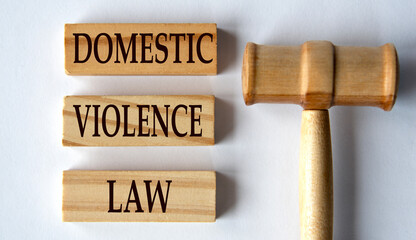 DOMESTIC VIOLENCE LAW - words on wooden blocks on a white background with a judge's gavel.