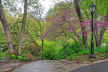 Central Park in spring - 758285092