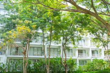 Modern Hotel building with tree ,Minimalistic design.