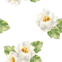 Peony flowers, green leaves, white background. Floral illustration. Vector seamless pattern. Botanical design. Nature garden plants. Summer bouquets