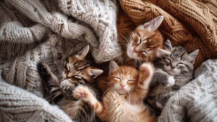 Top view of cute kittens sleeping on woolly blanket. - 758286288