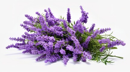 Vibrant Bouquet of Purple Lavender Flowers Cut-Out

