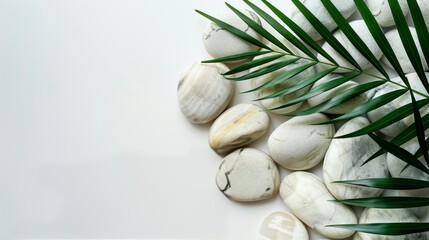 Top View of Natural White Stones and Palm Leaf on White Background