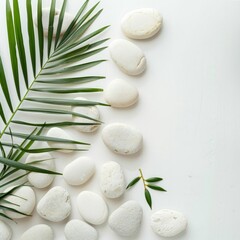 Fototapeta na wymiar Top View of Natural White Stones and Palm Leaf on White Background