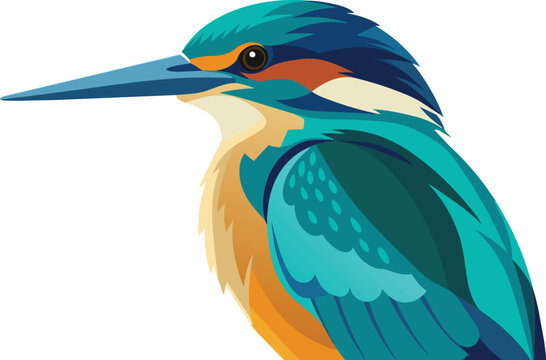recommend clip art: Beautiful kingfisher vector illustration artwork