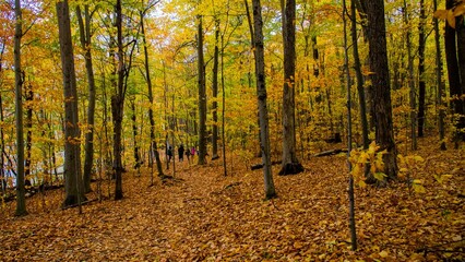 Bromont, Canada - October 14 2019: Colorful autumn view in Bromont mount in Quebec Canada