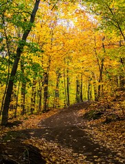 Bromont, Canada - October 14 2019: Colorful autumn view in Bromont mount in Quebec Canada