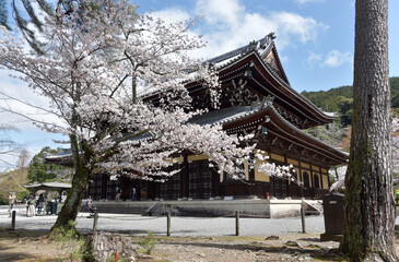 春の南禅寺　法堂　京都市左京区