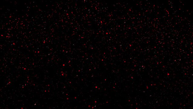 Particle Explosion effect. Festive Fireworks. 4K video element for overlays 