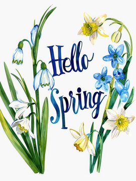 Hello Spring. Floral watercolor lettering with hyacinth, daffodil and snowdrops.