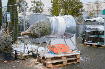 Naklejka premium Christmas tree wrapping machine with a tree.