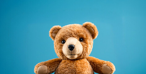 Obraz premium A cute teddy bear is an isolated and colorful studio background. 