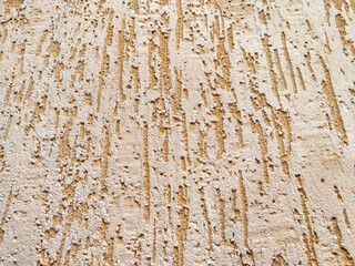 Peeling Beige Paint on a Rough Wall Texture. Weathered wall with flaking paint exhibiting aging