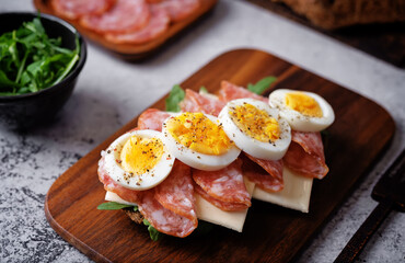 Salami sausages arugula cheese egg rye bread sandwich