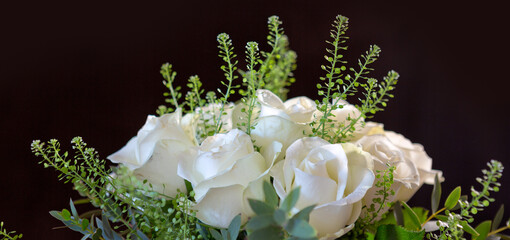 White roses with green leaves isolated on black background .