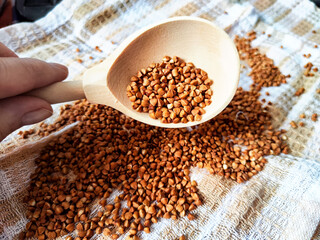 Buckwheat scattered on textured fabric and in a wooden spoon. Grits for cooking. Texture,...