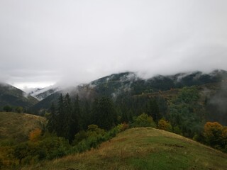 fog in the mountains