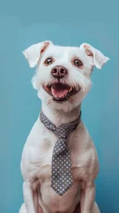 Tuinposter Dog with a tie. © Yahor Shylau 