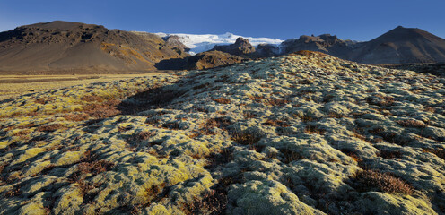 moosbedeckter Boden, Falljökull, Hvannadalshnjúkur, Öraefajökull, Ostisland, Island