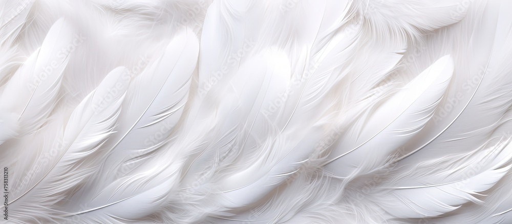 Poster a macro photography event capturing the intricate pattern of grey feathers on a transparent material